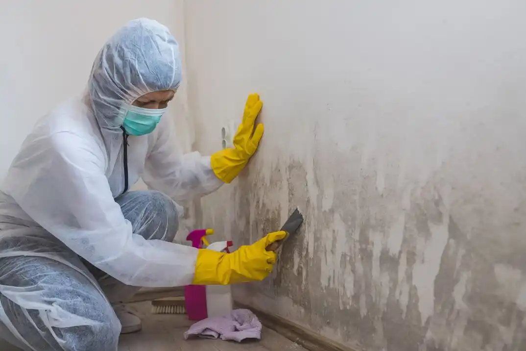 water damage restoration service East Memphis-Colonial-Yorkshire